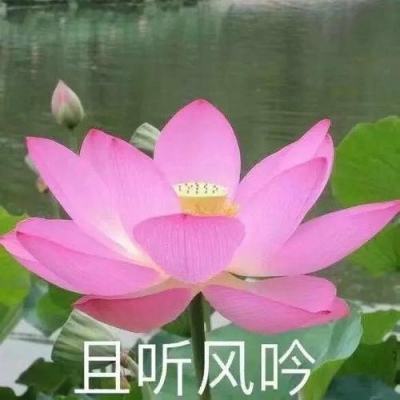 【境内疫情观察】浙江新增24例本土病例（1月30日）